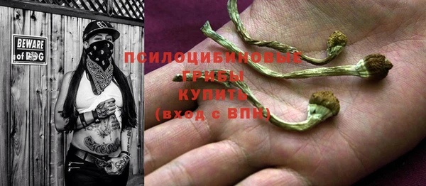 дурь Абдулино